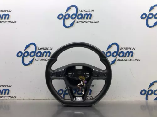 Stuurwiel-8119822