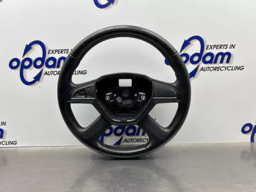 Stuurwiel-8264011