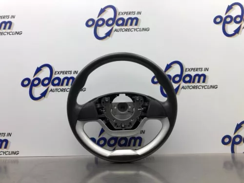 Stuurwiel-8192667