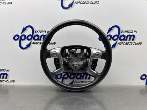 Stuurwiel-8192029