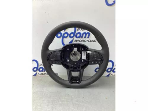 Stuurwiel-8202418