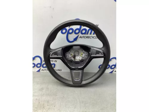Stuurwiel-7979992