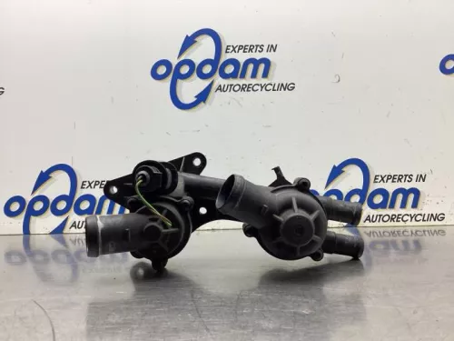 Thermostaathuis-8133926