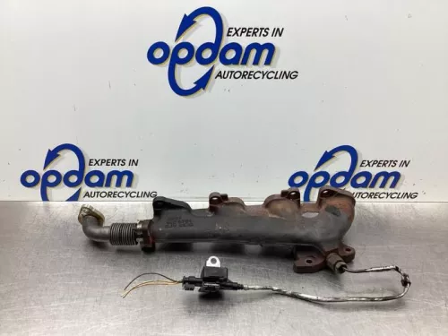 Uitlaatspruitstuk-7861959