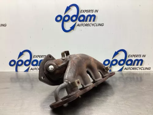 Uitlaatspruitstuk-7928013