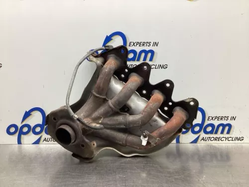 Uitlaatspruitstuk-8039010