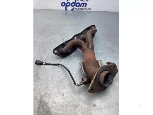 Uitlaatspruitstuk-7361567