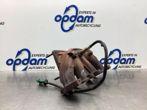 Uitlaatspruitstuk-8031550