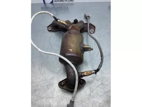 Uitlaatspruitstuk + katalysator-7610031