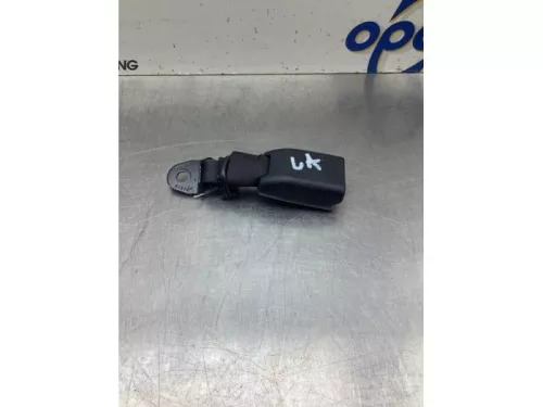 Veiligheidsgordel Insteek links-achter-8046884