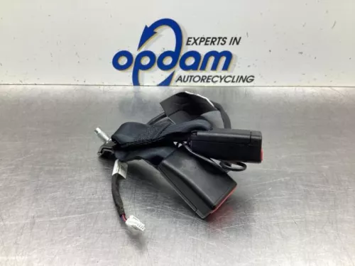 Veiligheidsgordel Insteek links-achter-7520018