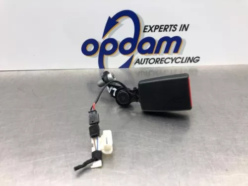 Veiligheidsgordel Insteek links-achter-8176299