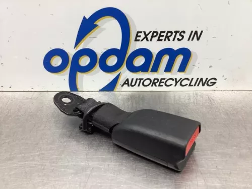 Veiligheidsgordel Insteek links-achter-7615737