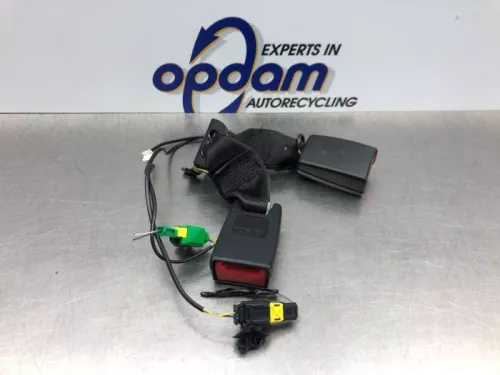 Veiligheidsgordel Insteek links-achter-8107191