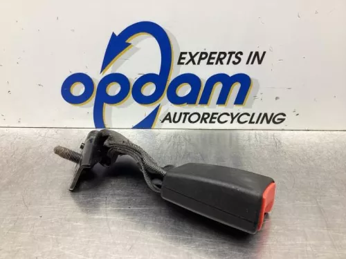 Veiligheidsgordel Insteek links-achter-6063929