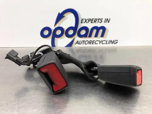 Veiligheidsgordel Insteek links-achter-8081174