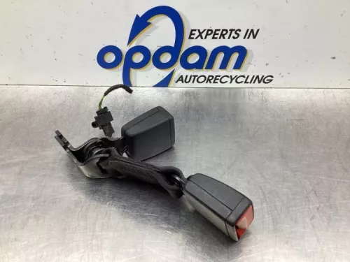 Veiligheidsgordel Insteek links-achter-7745048