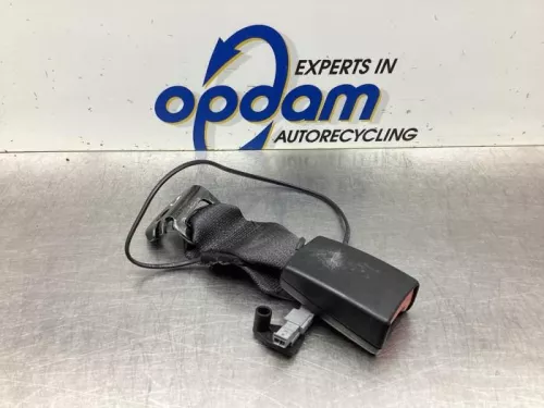 Veiligheidsgordel Insteek links-achter-8029827