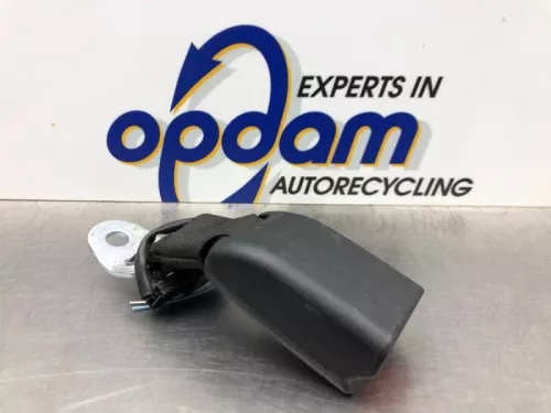 Veiligheidsgordel Insteek links-achter-8166741