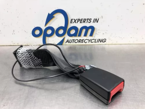 Veiligheidsgordel Insteek links-achter-8050933