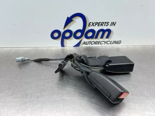 Veiligheidsgordel Insteek links-achter-8152307