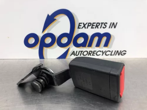 Veiligheidsgordel Insteek links-achter-8091978