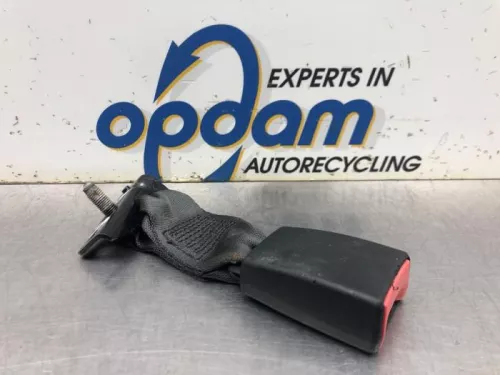 Veiligheidsgordel Insteek links-achter-8161103