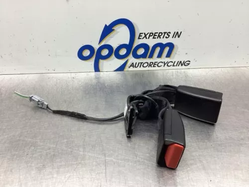 Veiligheidsgordel Insteek links-achter-7930369