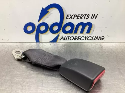 Veiligheidsgordel Insteek links-achter-7939127