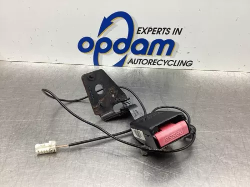 Veiligheidsgordel Insteek links-achter-7924166