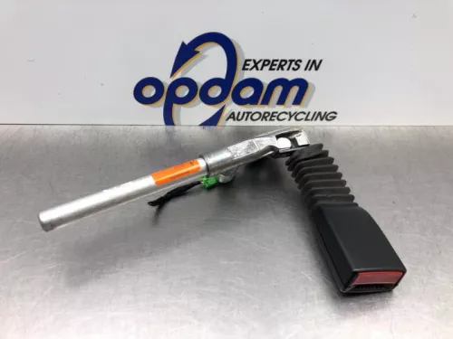 Veiligheidsgordel Insteek links-achter-8143188