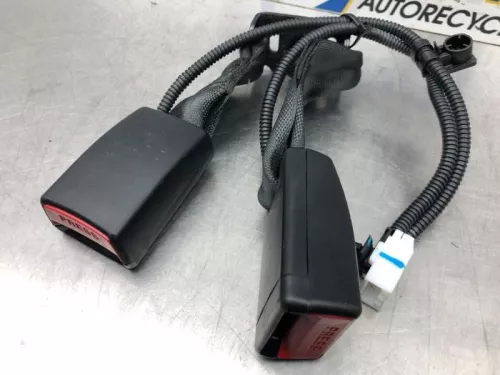 Veiligheidsgordel Insteek links-achter-6446125