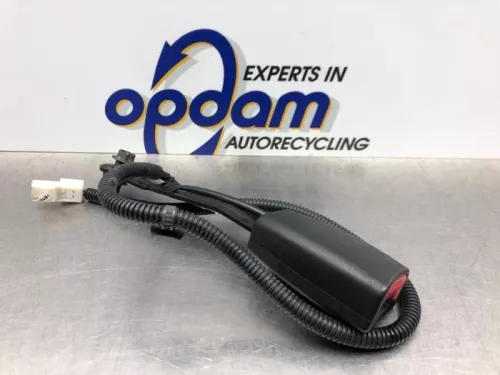 Veiligheidsgordel Insteek links-voor-8173721