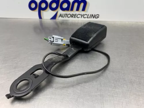 Veiligheidsgordel Insteek links-voor-8154465