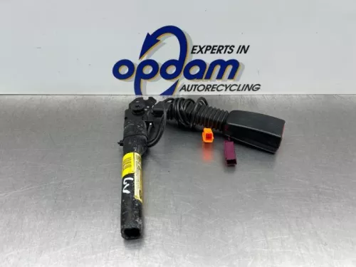 Veiligheidsgordel Insteek links-voor-8259667