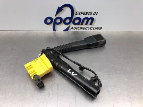 Veiligheidsgordel Insteek links-voor-8188115