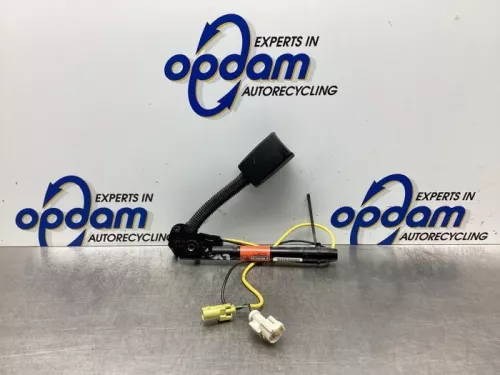 Veiligheidsgordel Insteek links-voor-6934357