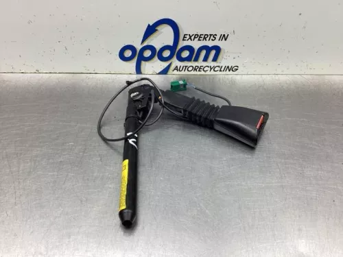 Veiligheidsgordel Insteek links-voor-8139742