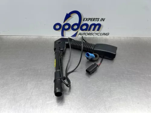 Veiligheidsgordel Insteek links-voor-8259728