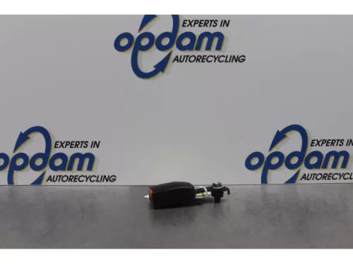 Veiligheidsgordel Insteek links-voor-7877691