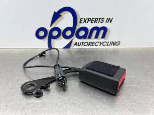 Veiligheidsgordel Insteek midden-achter-8195532