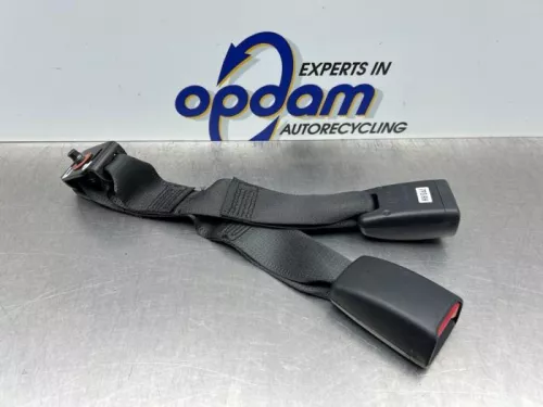 Veiligheidsgordel Insteek midden-achter-8188069