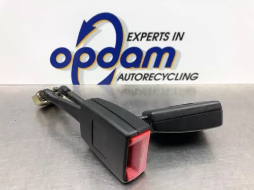 Veiligheidsgordel Insteek midden-achter-8196845