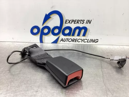 Veiligheidsgordel Insteek midden-achter-7610715