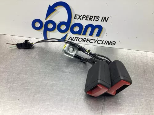 Veiligheidsgordel Insteek midden-achter-7577029