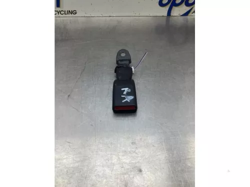 Veiligheidsgordel Insteek rechts-achter-8046884