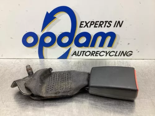 Veiligheidsgordel Insteek rechts-achter-6063929