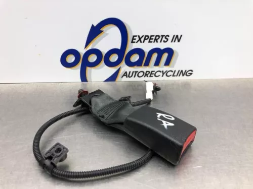 Veiligheidsgordel Insteek rechts-achter-8119845