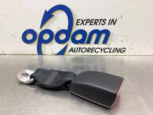 Veiligheidsgordel Insteek rechts-achter-8134699