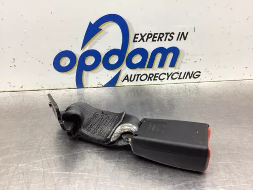 Veiligheidsgordel Insteek rechts-achter-8099857